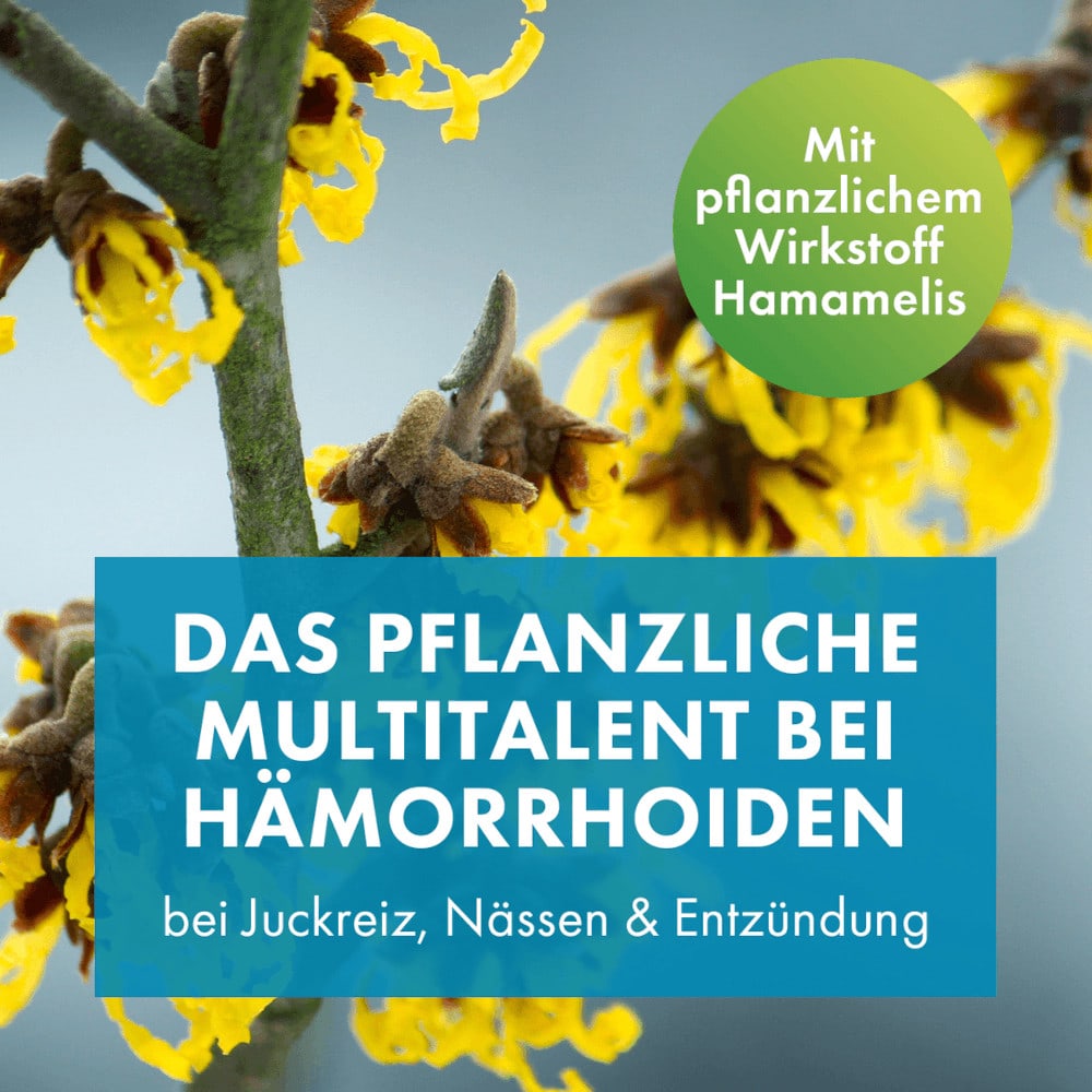 FAKTU lind Hämorrhoidenzäpfchen 25 St Suppositorien