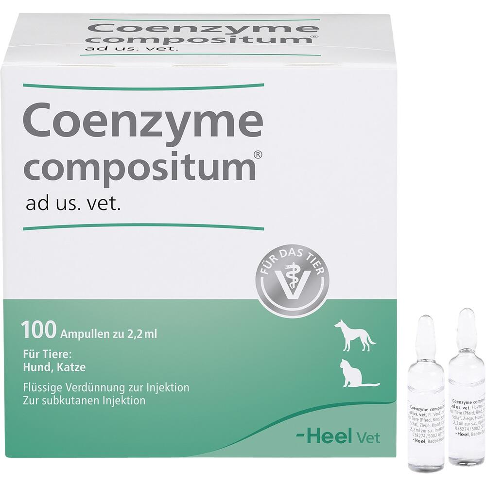Coenzyme compositum ad. us. vet. 100 St Ampullen