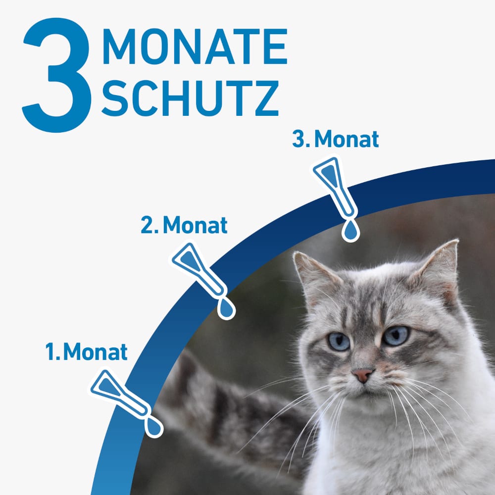FRONTLINE SPOT-ON gegen Zecken, Flöhe und Haarlinge für Katzen 3 St Lösung