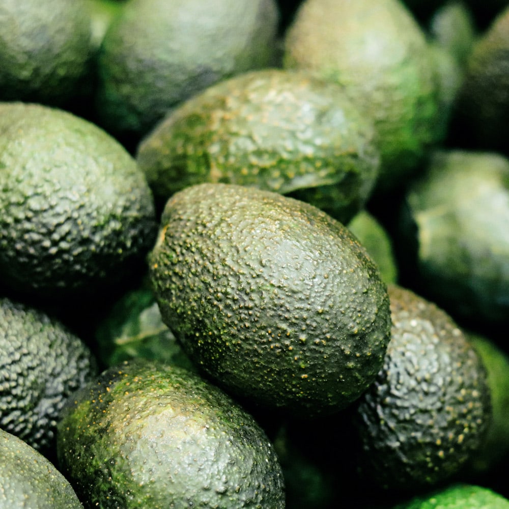 RAUSCH Avocado FARBSCHUTZ-SPÜLUNG 200 ml Haarspülung