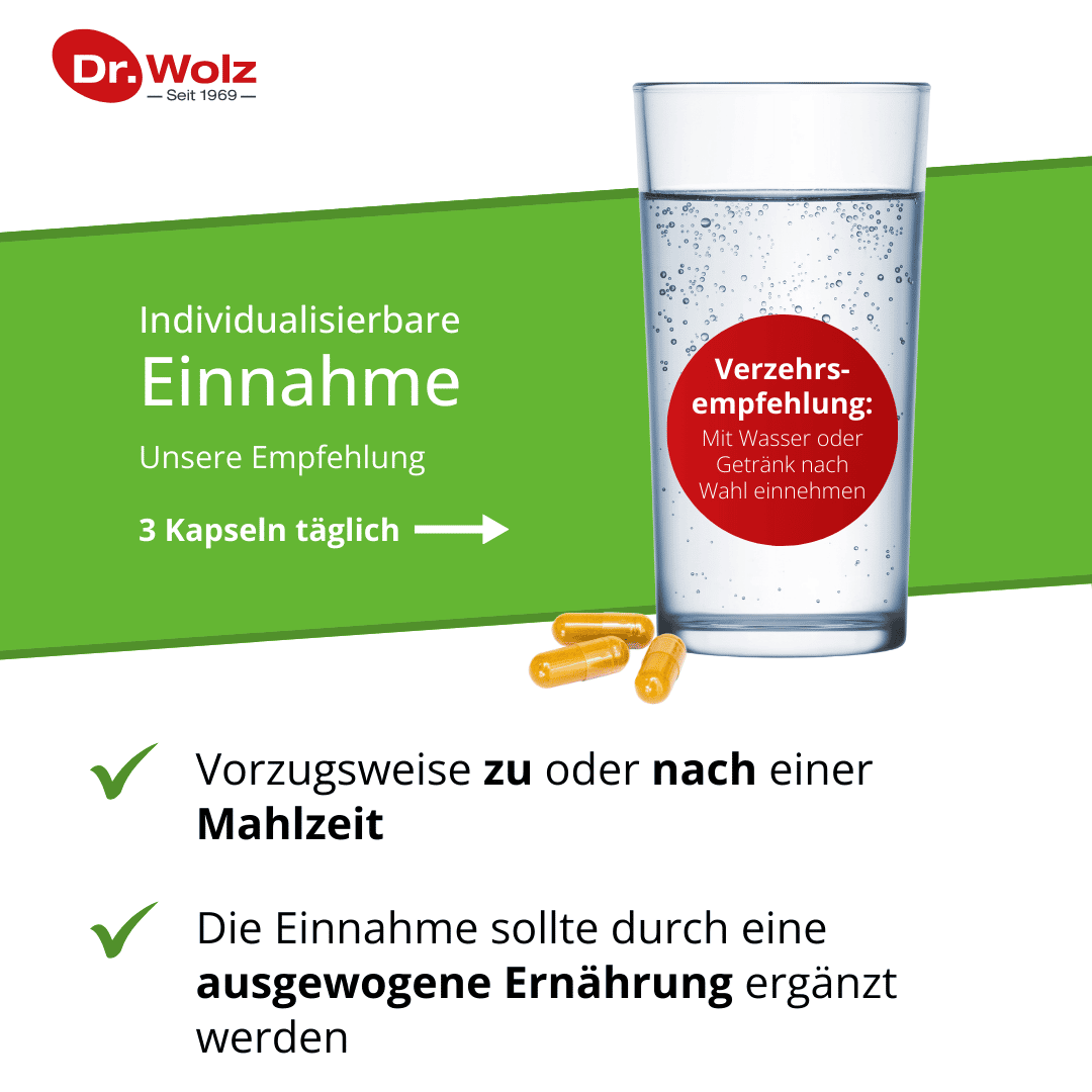 Dr. Wolz Curcumin Extrakt 45 90 St Kapseln