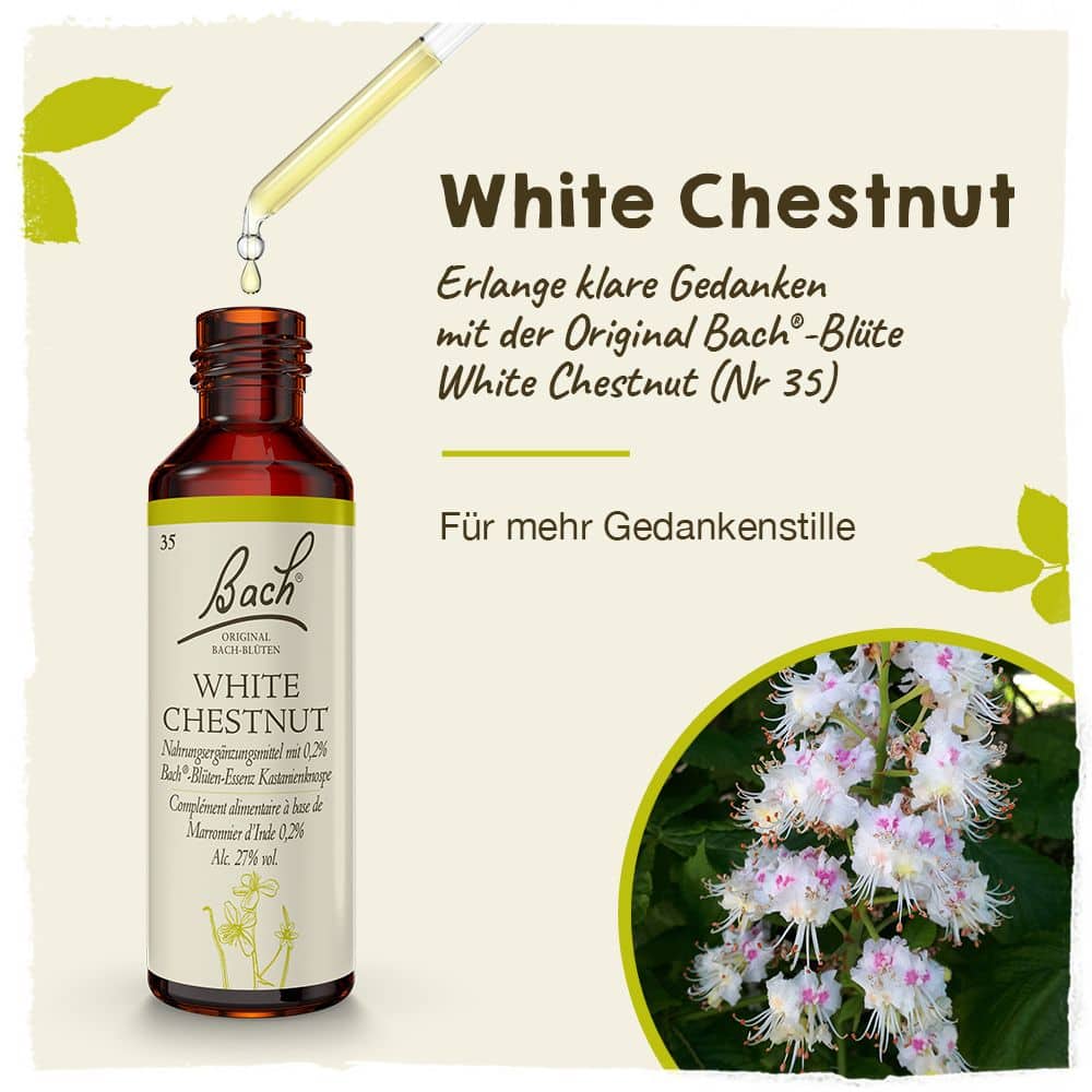 BACHBLÜTEN Original White Chestnut Nr.35 20 ml Tropfen