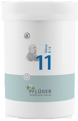 Schüßler-Salz Nr. 11 Silicea D12 4000 St Tabletten