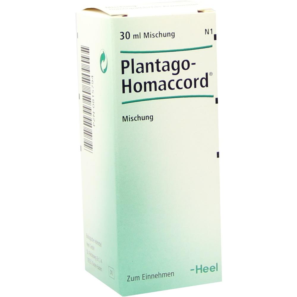 PLANTAGO HOMACCORD Tropfen 30 ml Tropfen