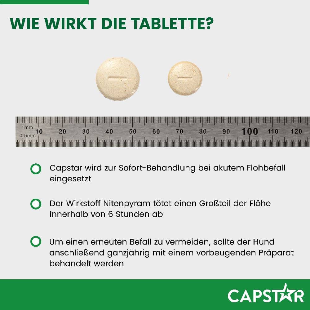 CAPSTAR 57 mg  für große Hunde 6 St Tabletten