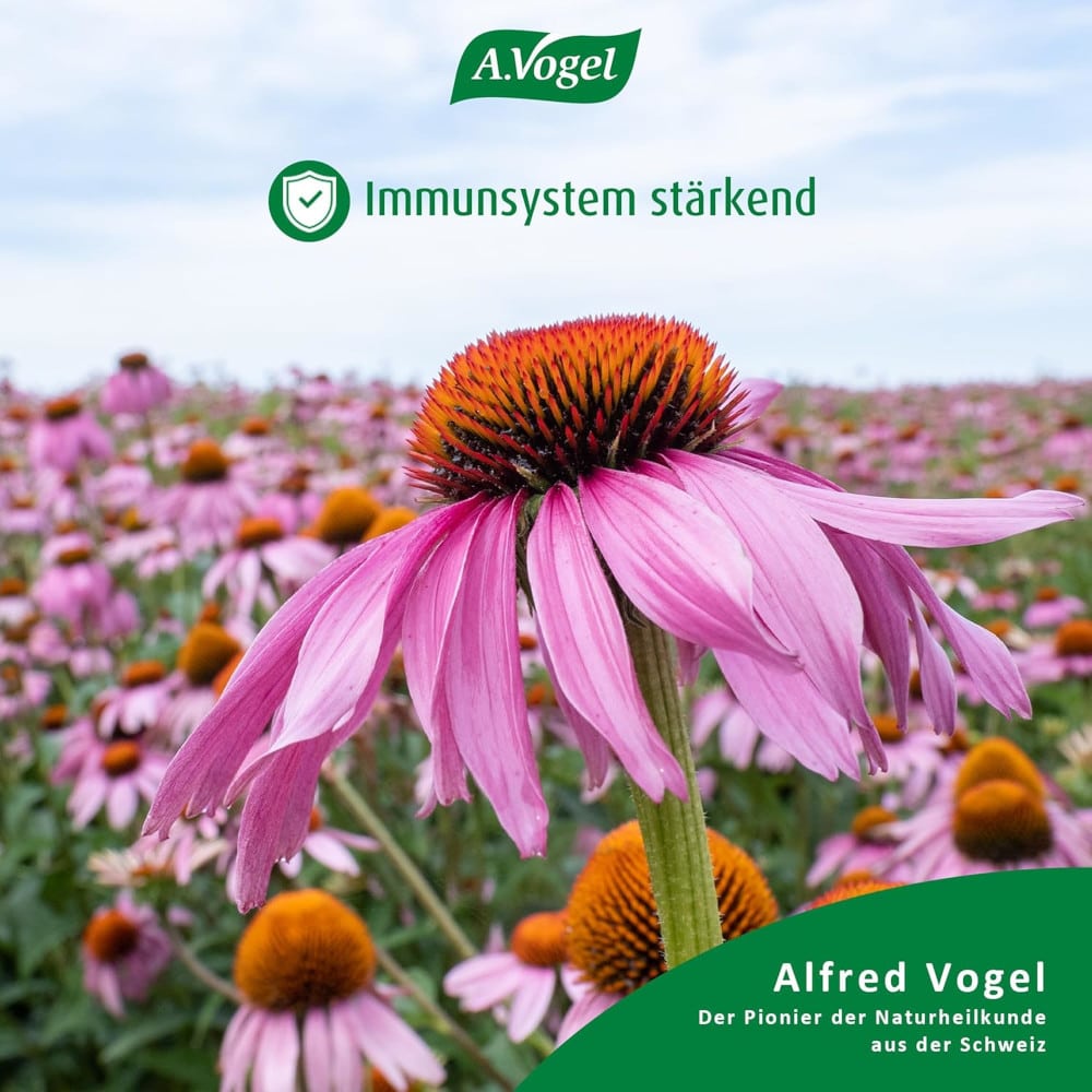 A. Vogel Echinaforce Forte Immune 30 St Tabletten
