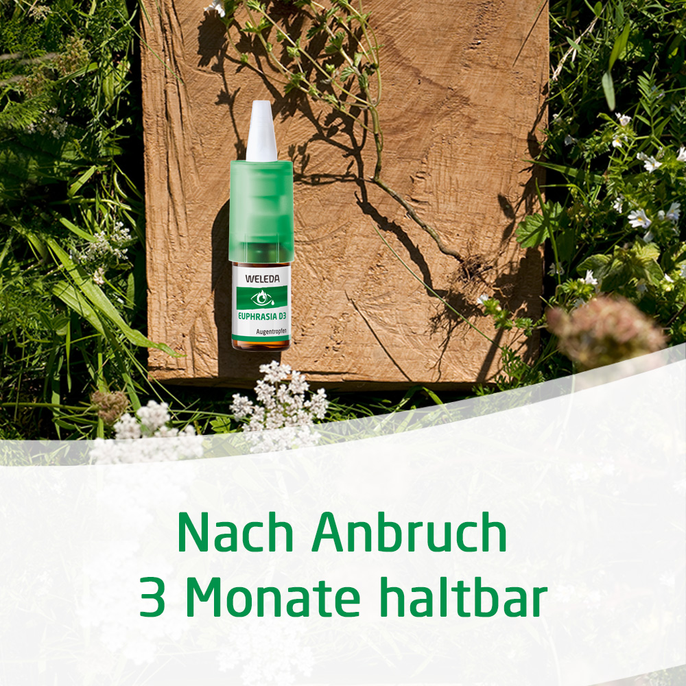 WELEDA EUPHRASIA D 3 Augentropfen 10 ml Augentropfen WELEDA EUPHRASIA D 3 Augentropfen 10 ml Augentropfen
