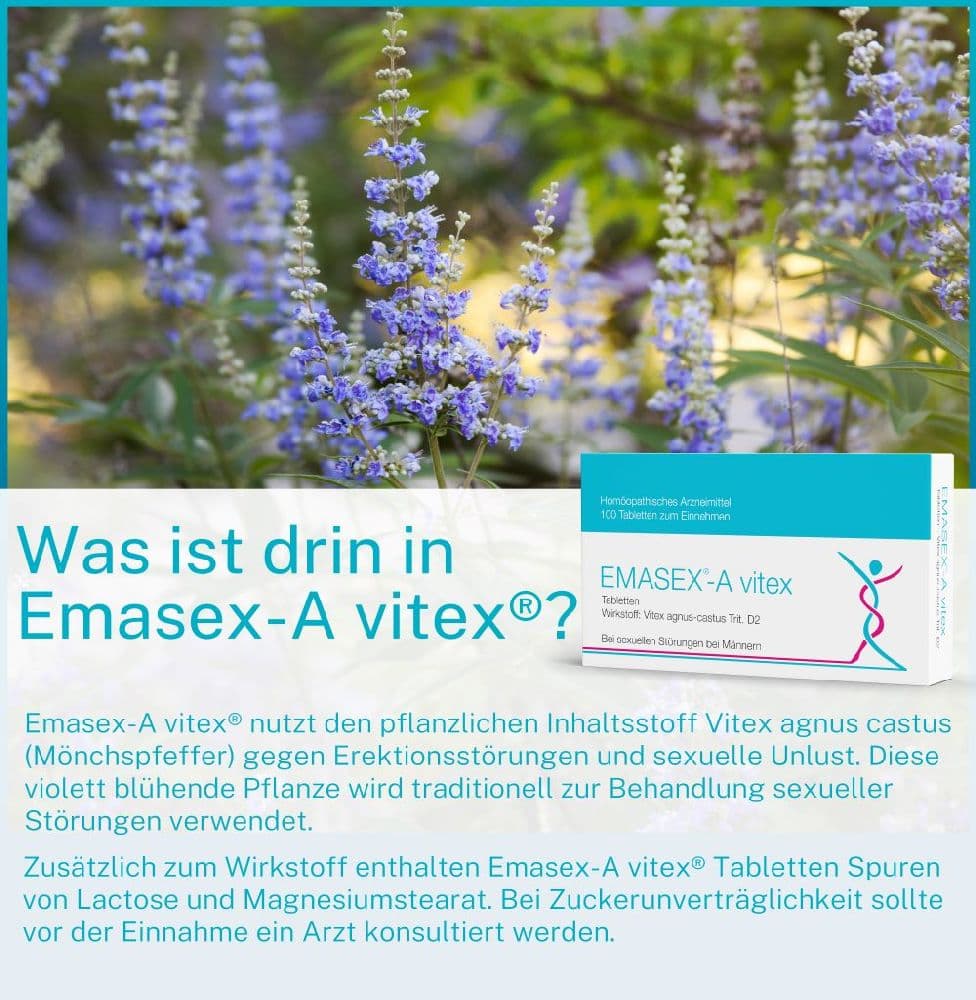 EMASEX-A Vitex  100 St Tabletten