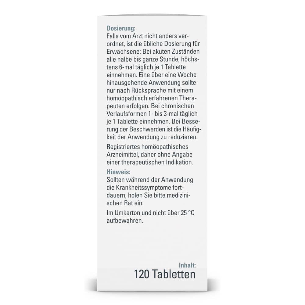 Ginkgo Syxyl  120 St Tabletten