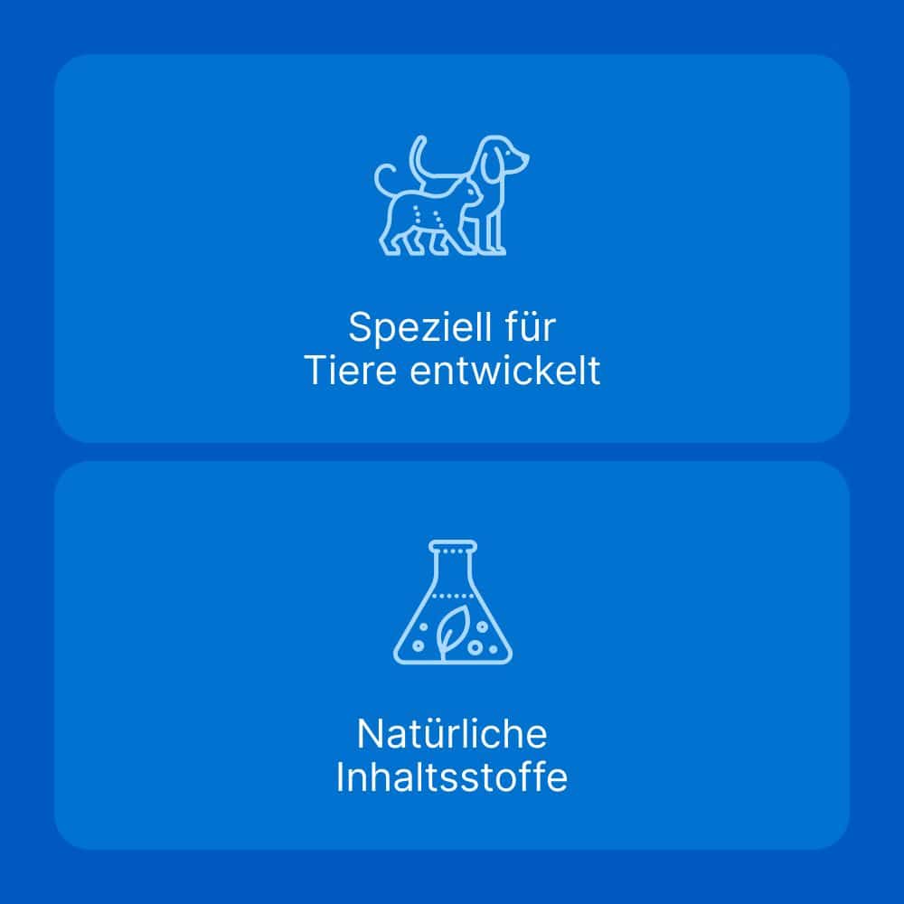 Traumeel LT ad us. vet. 250 St Tabletten