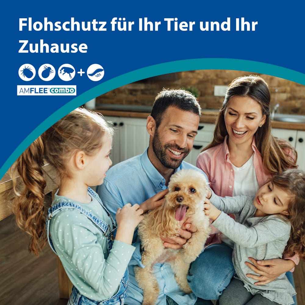 Amflee combo 67mg Lösung zum Auftropfen für kleine Hunde 2-10 kg 3 St Lösung