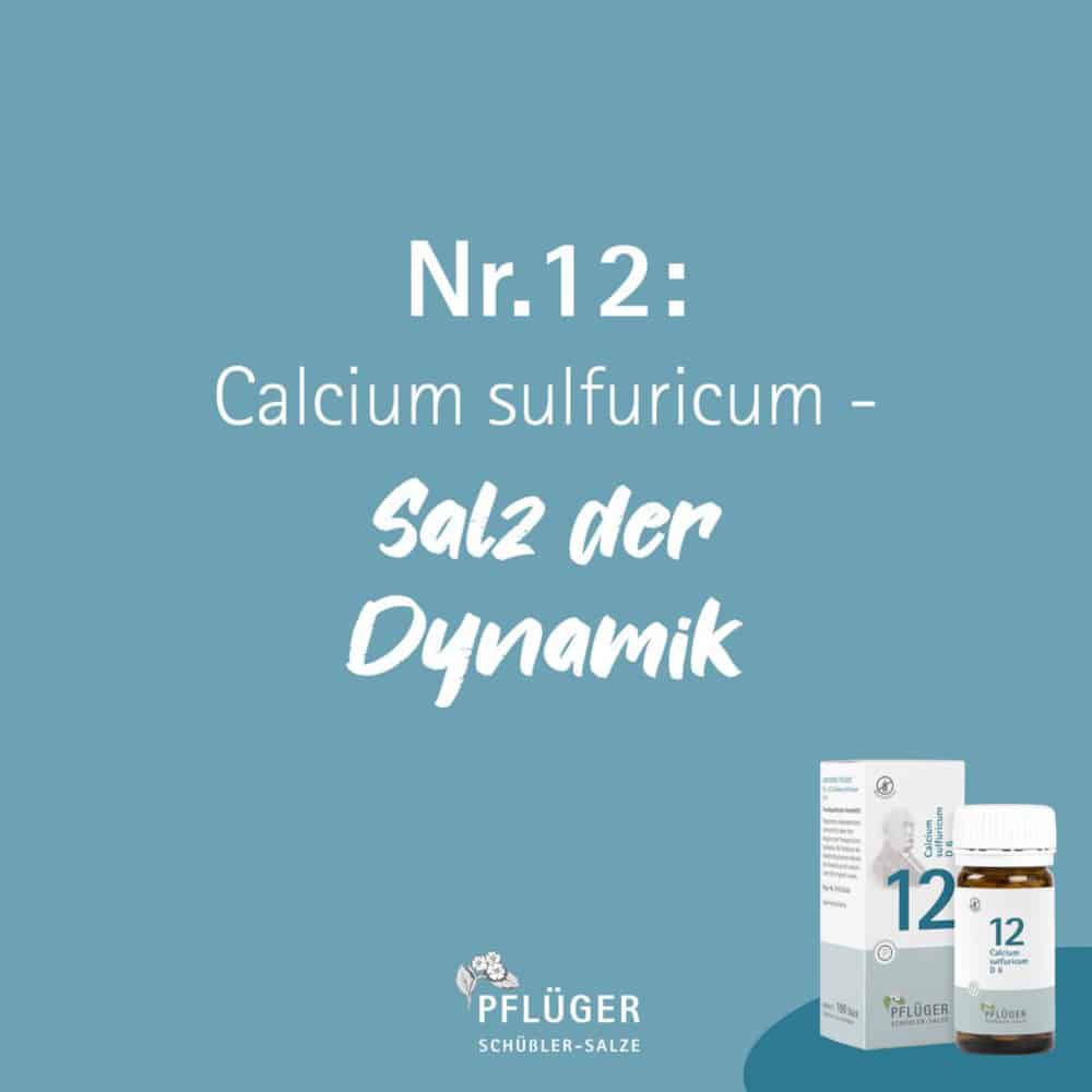 Schüßler-Salz Nr. 12 Calcium sulfuricum D6 30 ml Tropfen