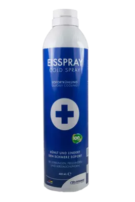 EISSPRAY 400 ml Spray