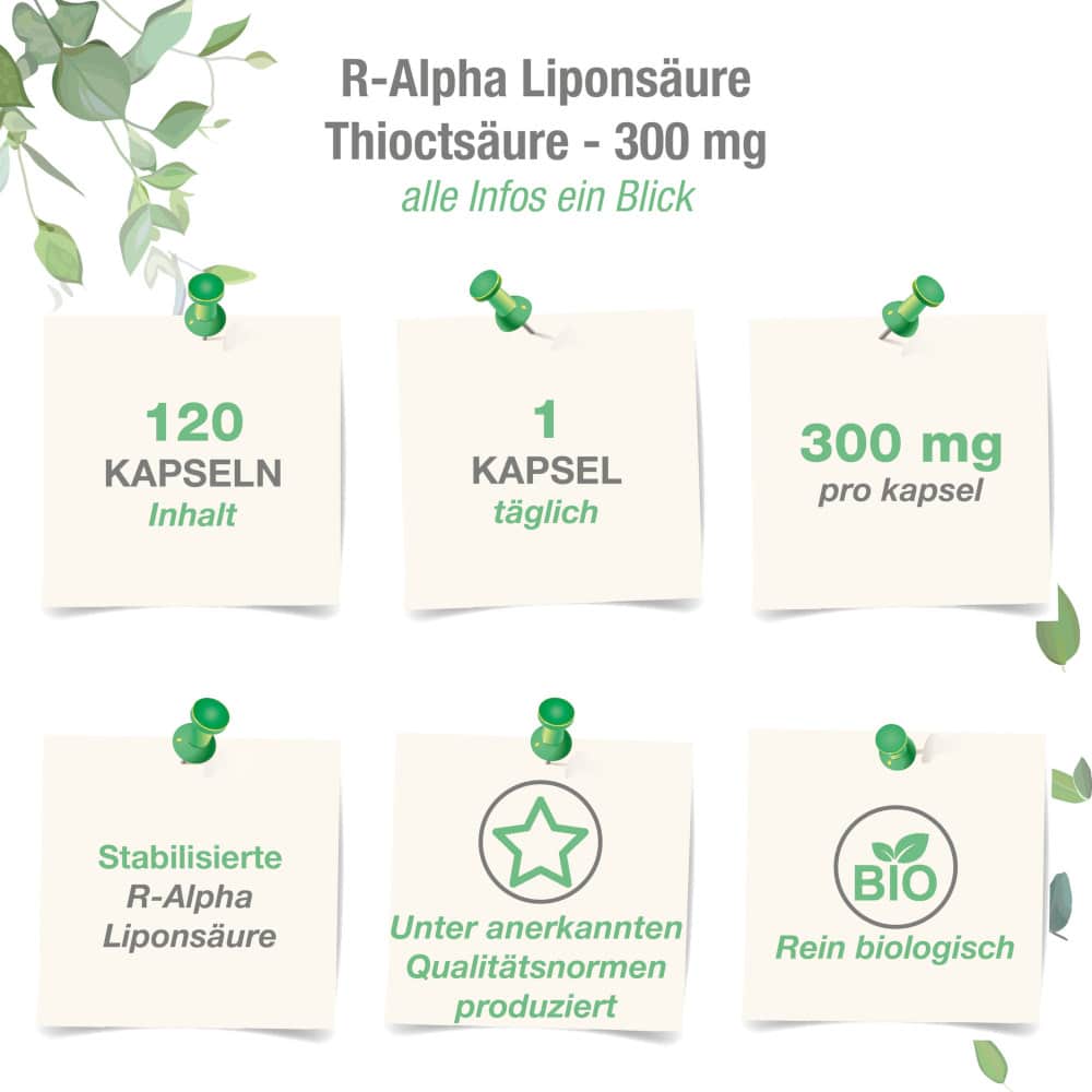 vitabay R-ALPHA-LIPONSÄURE 300mg  120 St Kapseln