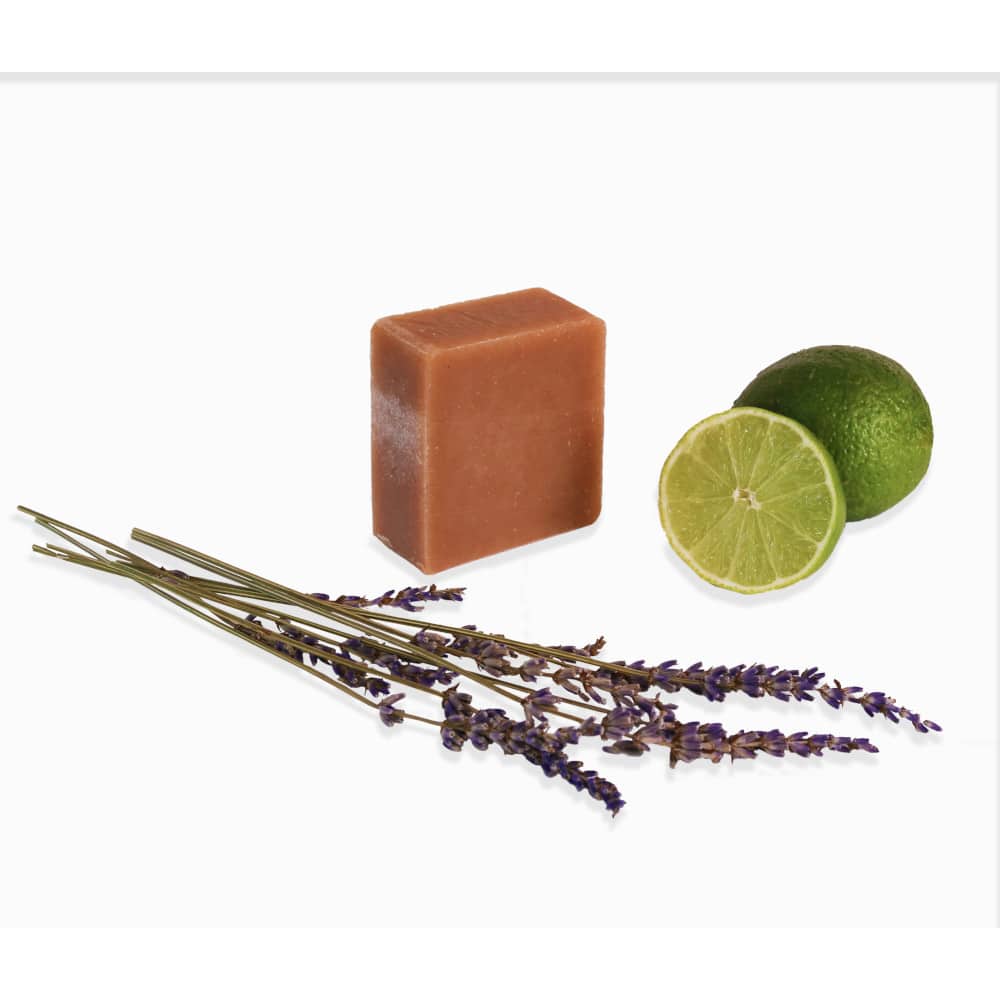 LEVIA Festes Shampoo Bio-Koffein mit Limetten- und Lavendelöl 1 St Shampoo