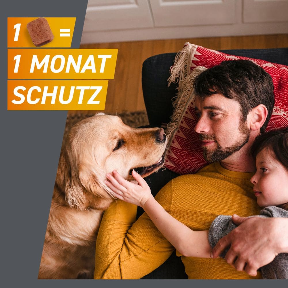 FRONTPRO Kautabletten für Hunde (>25-50kg) 3 St Kautabletten