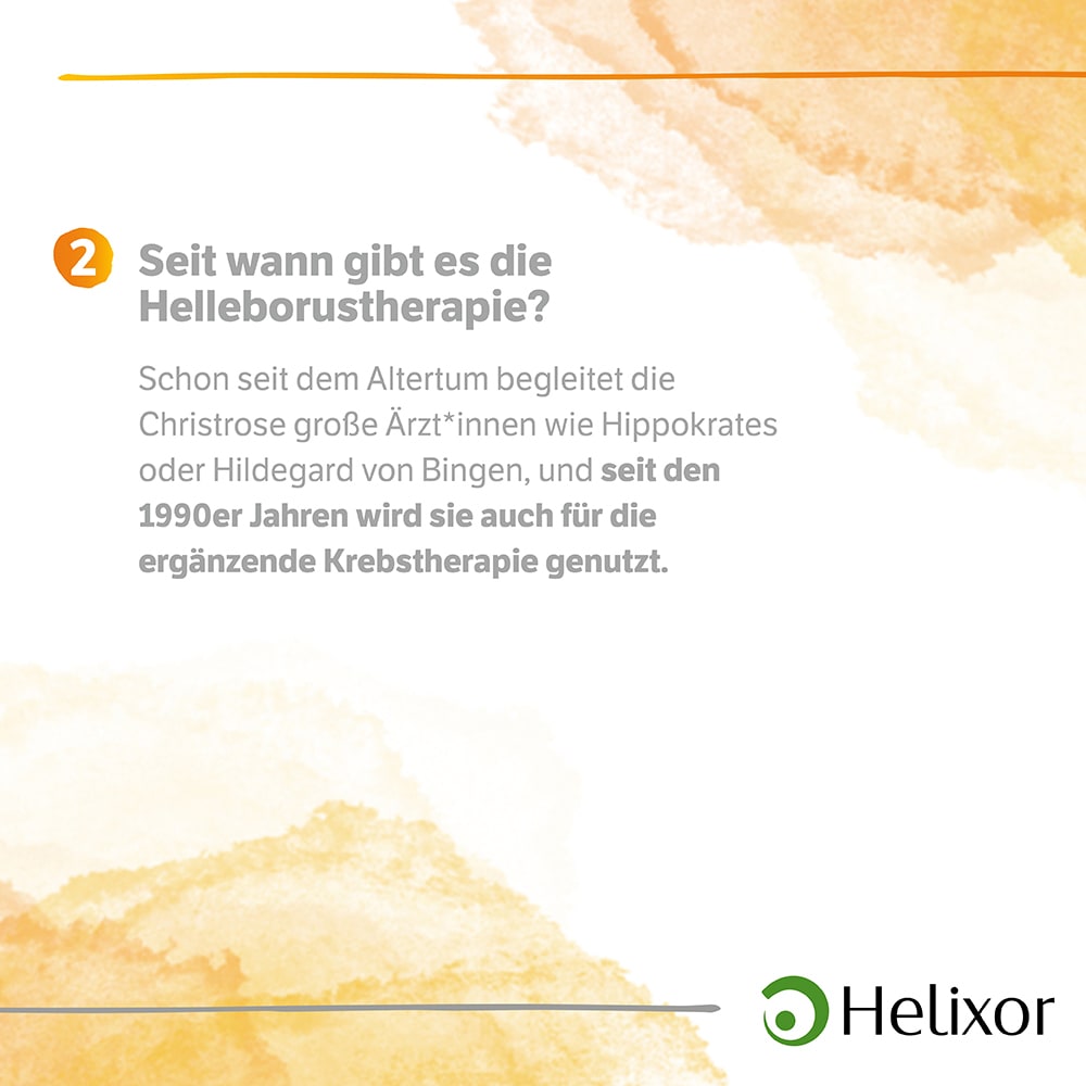HELLEBORUS NIGER D 4 aquos.Ampullen 50 St Ampullen
