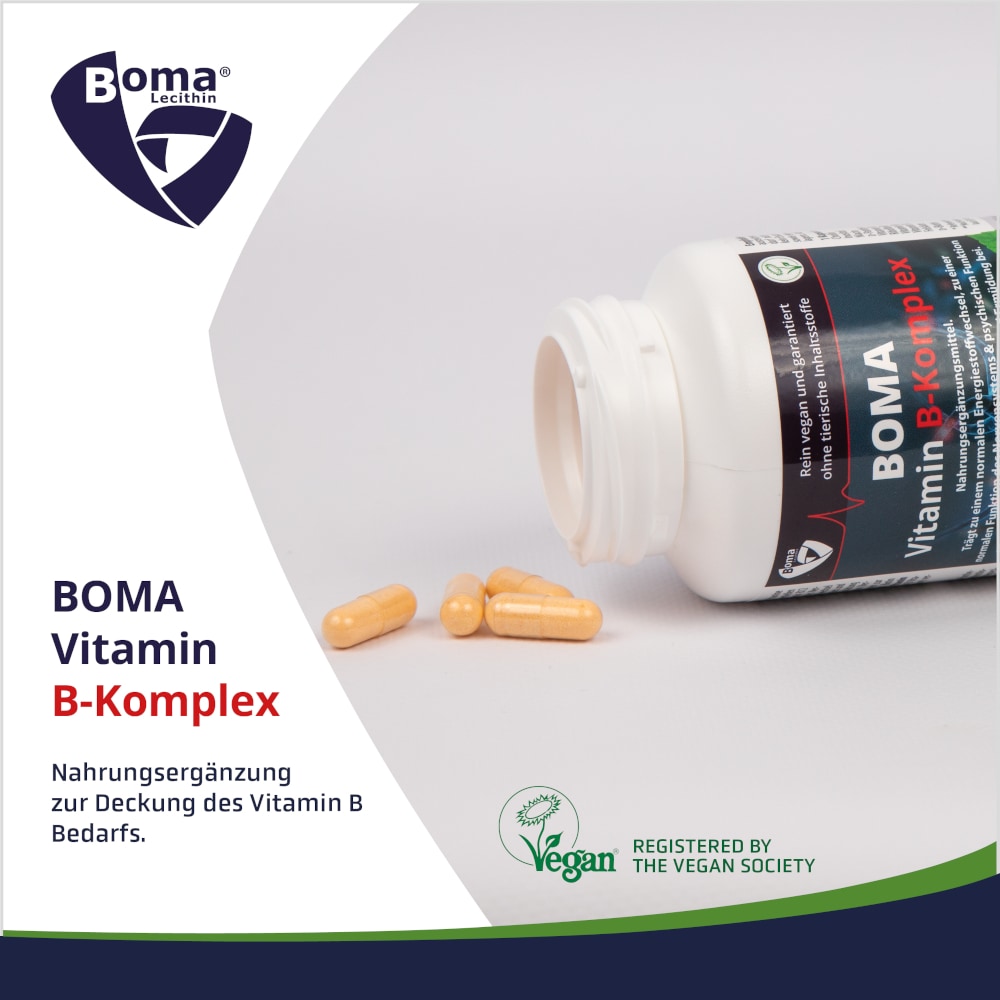 VITAMIN B Komplex Kapseln 120 St Kapseln VITAMIN B Komplex Kapseln 120 St Kapseln
