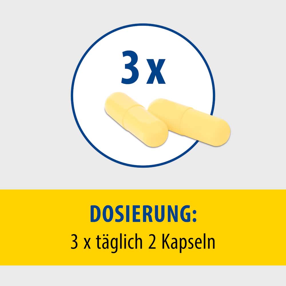Pollstimol Hartkapseln 120 St Hartkapseln