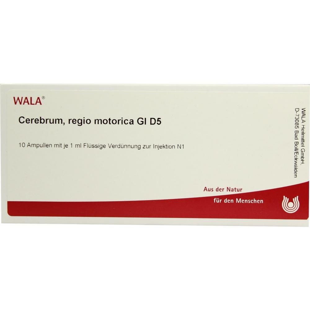 Cerebrum, regio motorica Gl D5 Ampullen 10X1 ml Ampullen