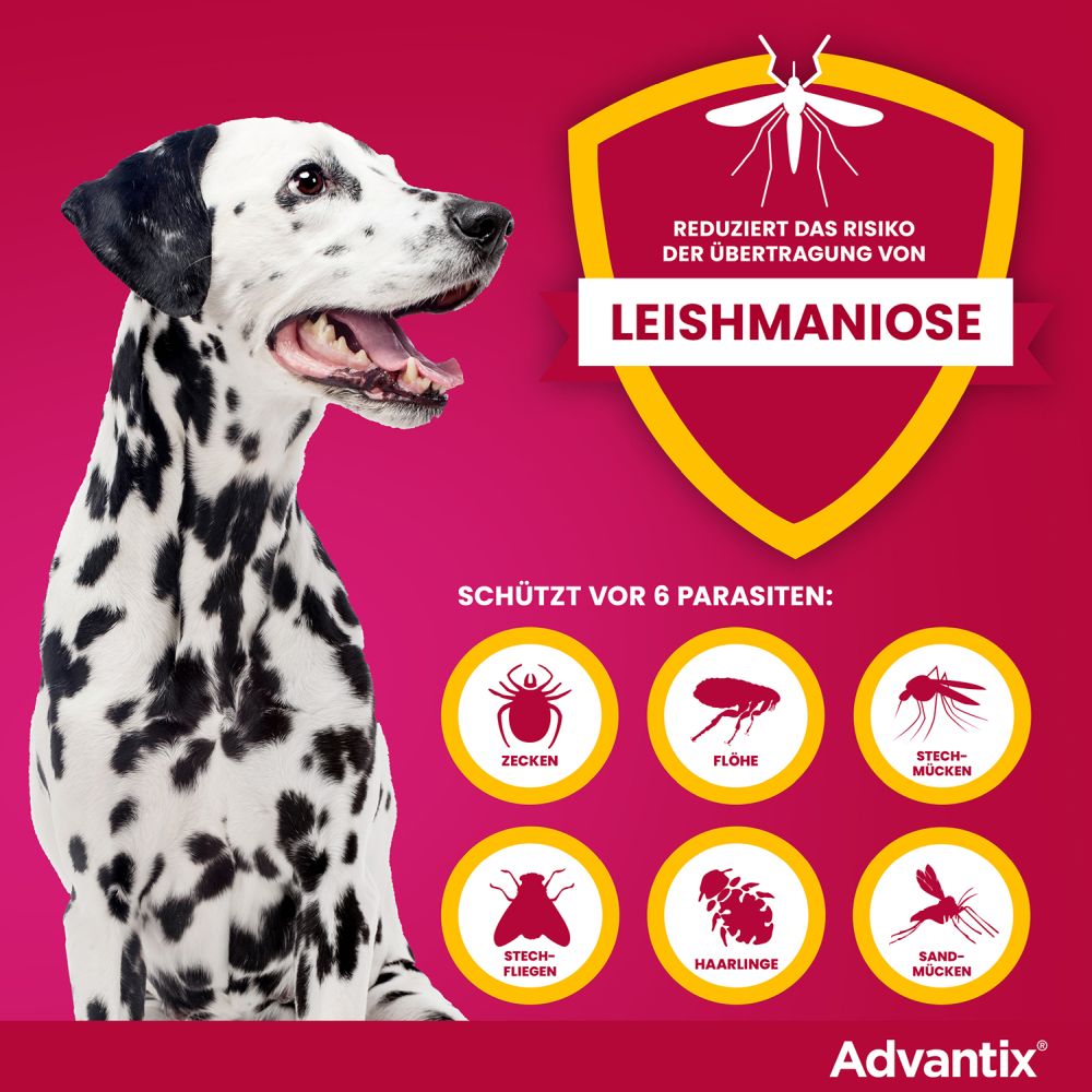 Advantix Spot on für Hunde 10-25kg 4 St Lösung