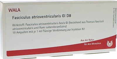 Fasciculus atrioventricularis GL D8 10X1 ml Ampullen
