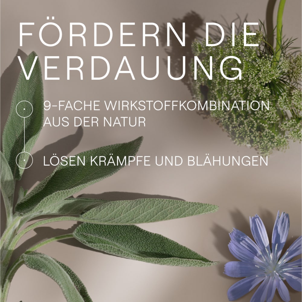 WELEDA AMARA-TROPFEN 20 ml Dilution