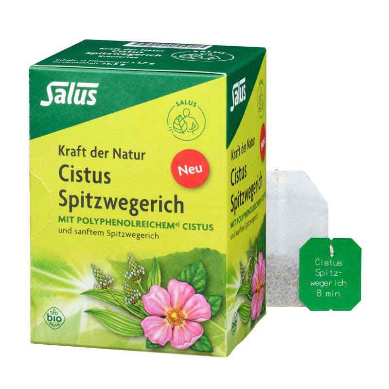 Salus Cistus Spitzwegerich Tee 15 St Filterbeutel