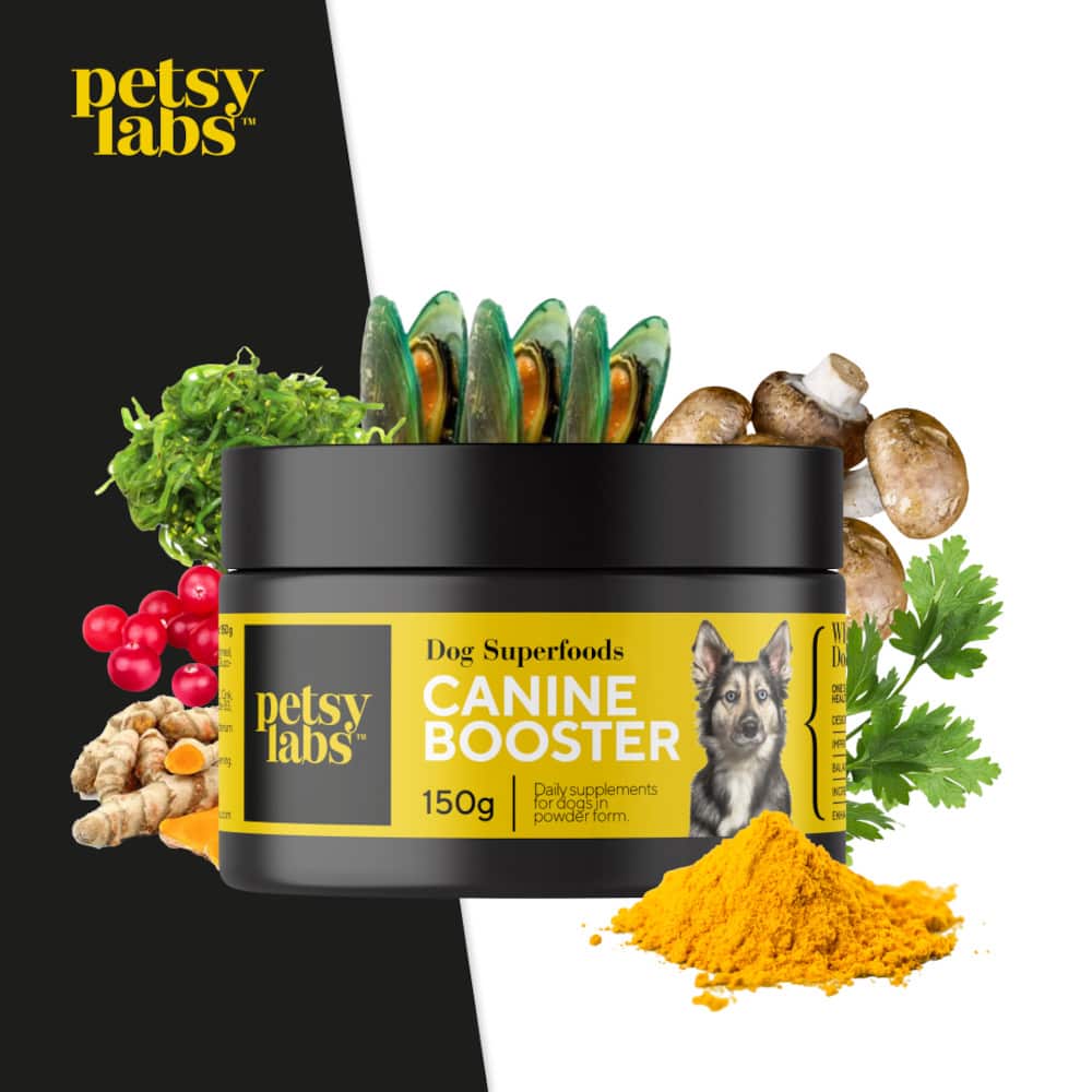 petsy labs Dog Superfoods CANINE BOOSTER 150 g Pulver