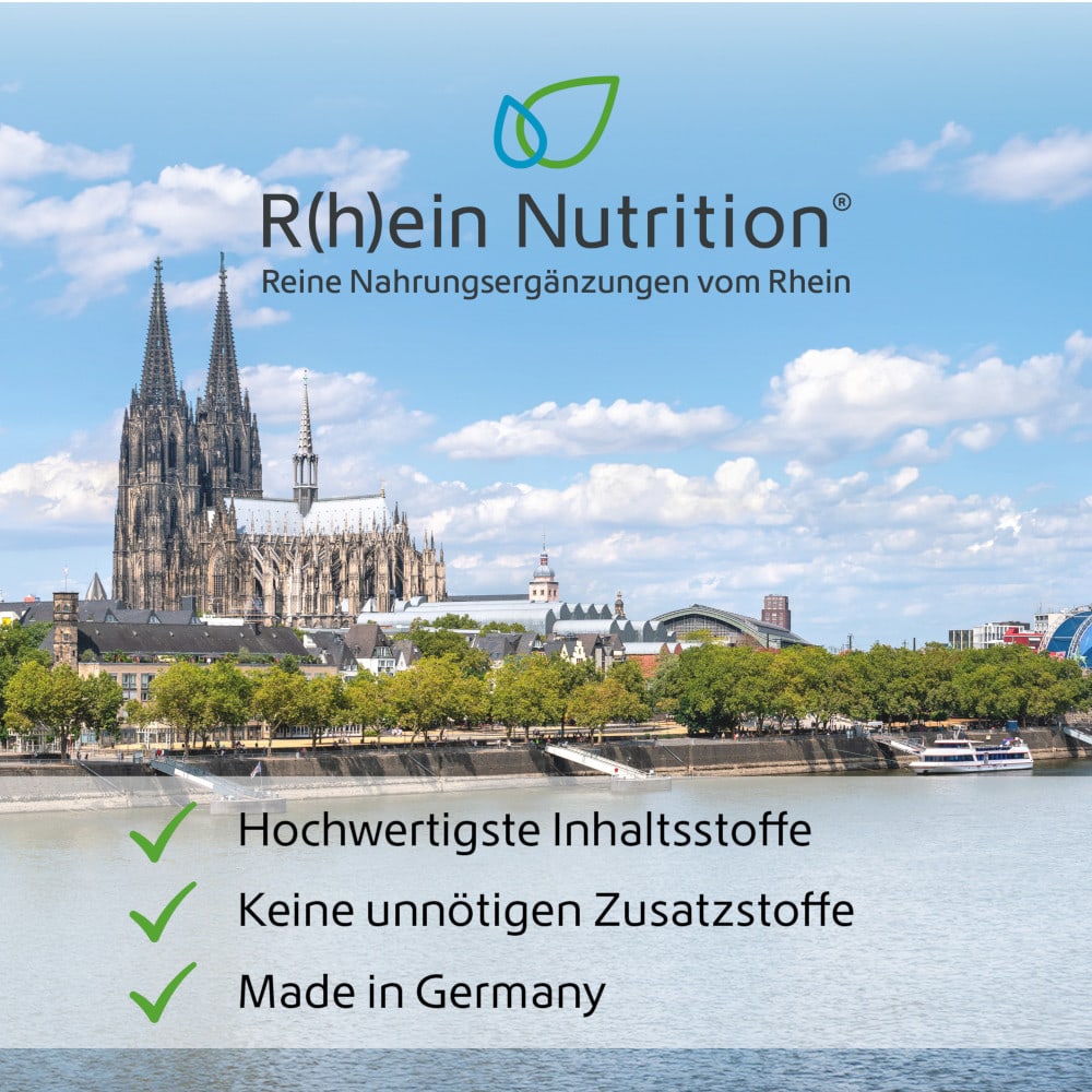 R(h)ein Nutrition Magnesium 400 mg Extra 120 St Kapseln