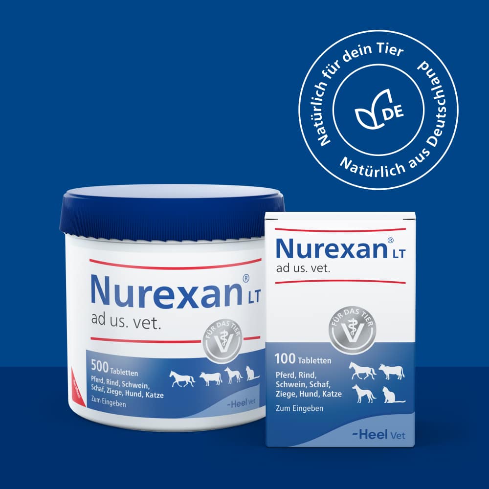 Nurexan LT ad us. vet. 500 St Tabletten
