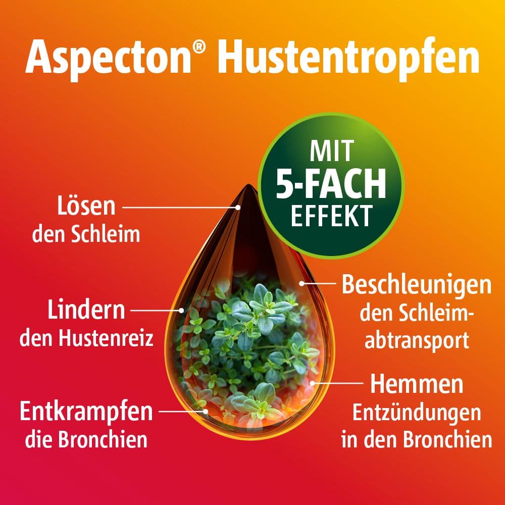 Aspecton Hustentropfen 100 ml Flüssigkeit zum Einnehmen