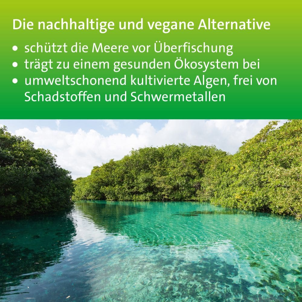 OMEGA-3 HEVERT PFLANZLICH  60 St Weichkapseln