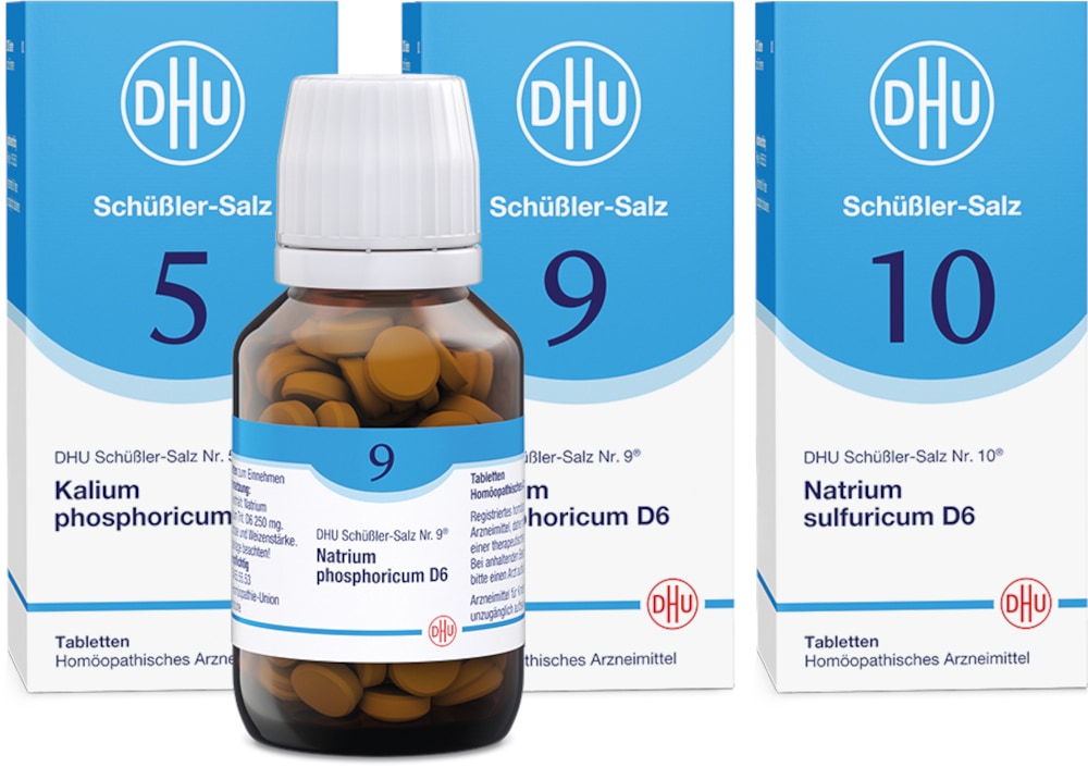 DHU Schüssler Frühjahrs-Kur 1 Sparset