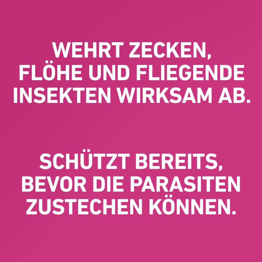 FRONTLINE TRI-ACT gegen Zecken, Flöhe & fliegende Insekten für Hunde L (20-40 kg)  3 St Lösung