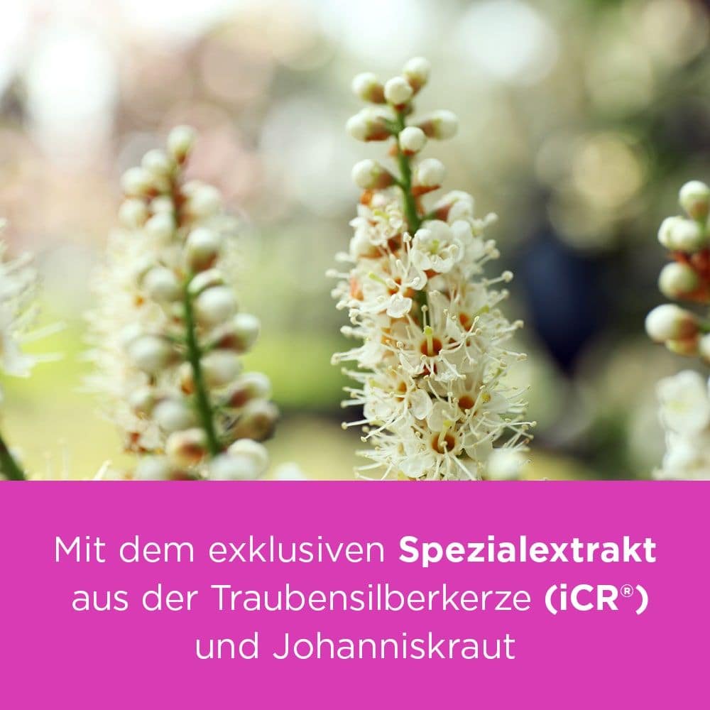 Remifemin plus Johanniskraut 100 St Filmtabletten