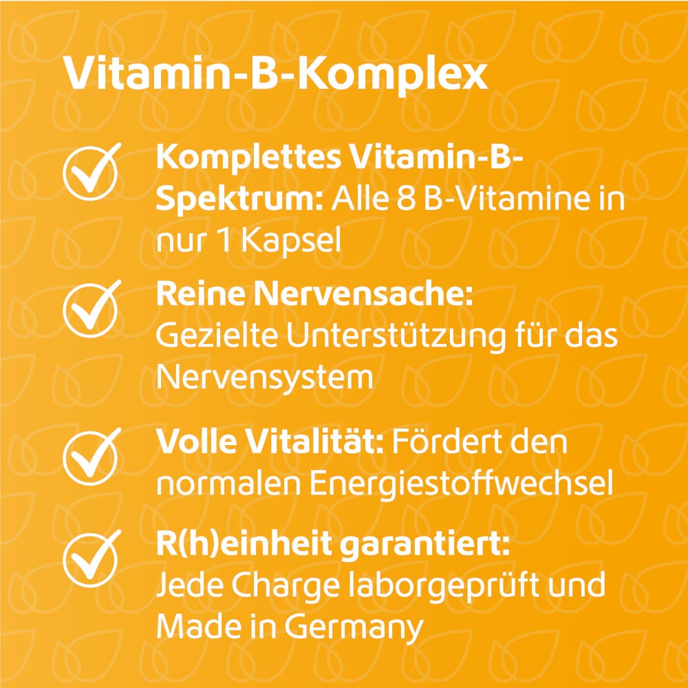 R(h)ein Nutrition Vitamin B-Komplex  120 St Kapseln