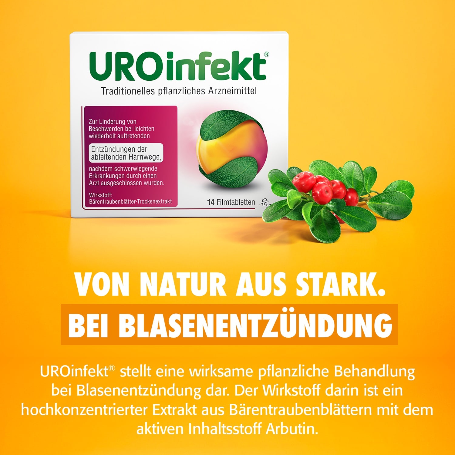 UROinfekt 14 St Filmtabletten