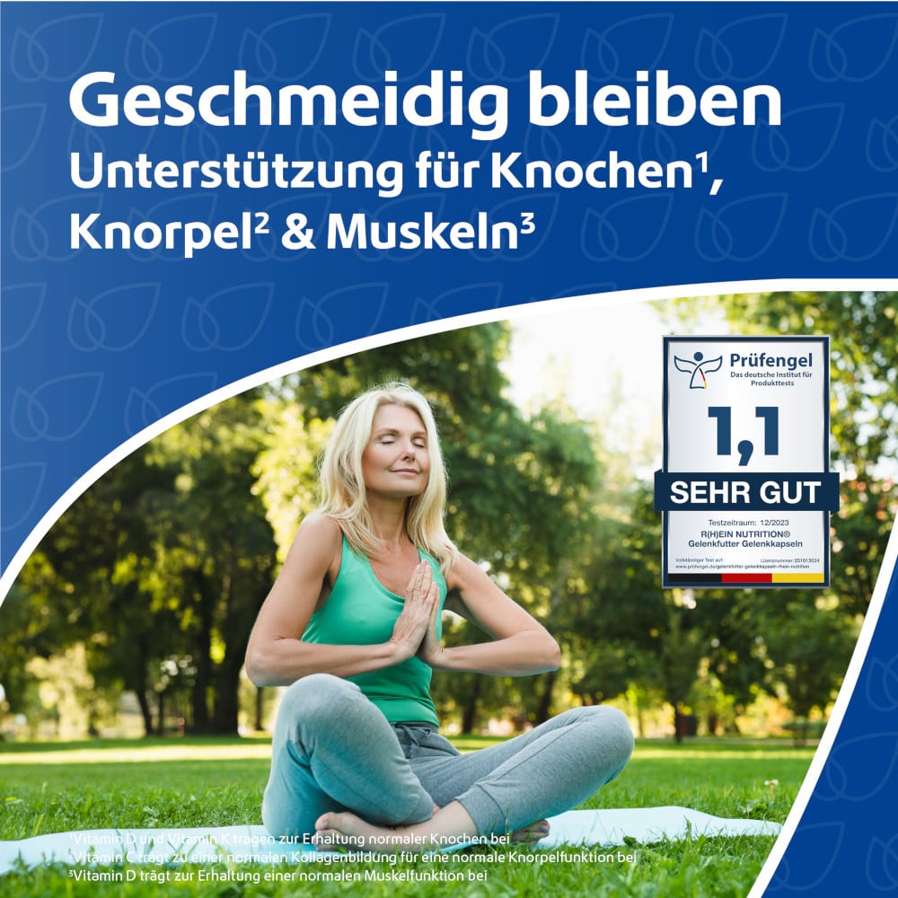 R(h)ein Nutrition Gelenkfutter 240 St Kapseln