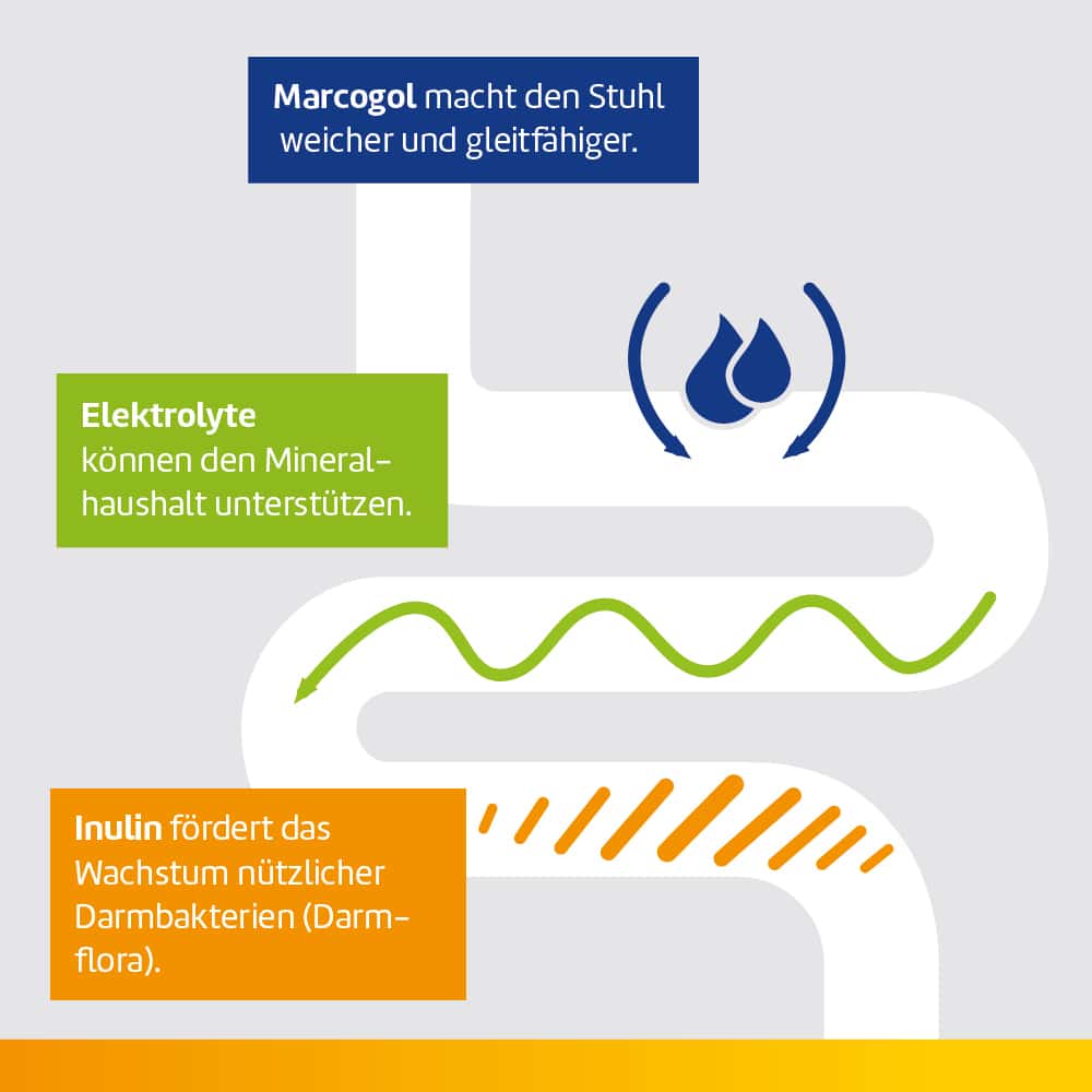 Laxatan M Granulat 10 St Granulat zur Herstellung einer Suspension zum Einnehmen