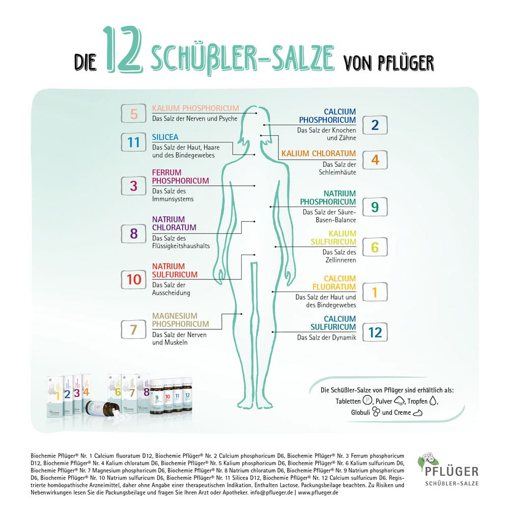 Schüßler-Salz Nr. 4 Kalium chloratum D4 75 g Creme