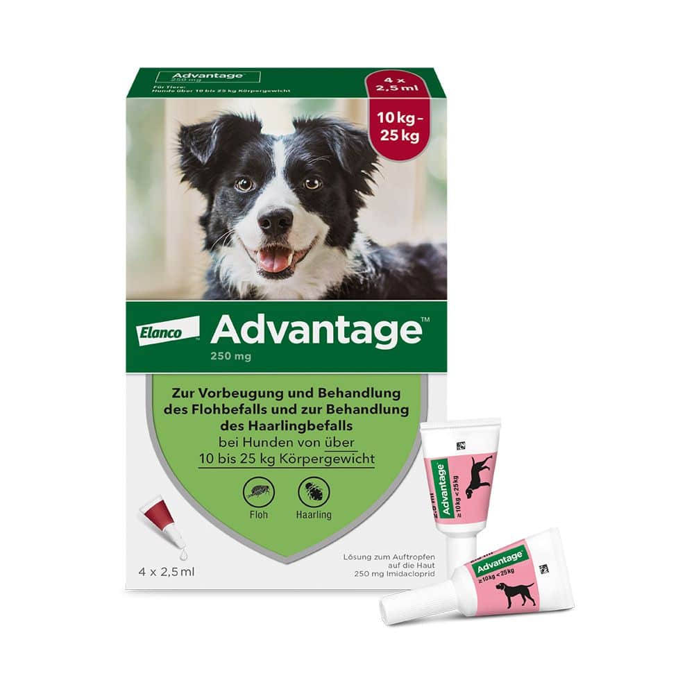 Advantage 250 Lösung für Hunde 10-25 kg 4 St Lösung