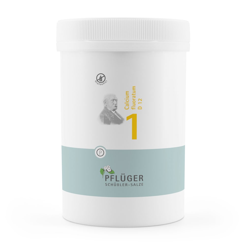 Schüßler-Salz Nr. 1 Calcium fluoratum D12 4000 St Tabletten