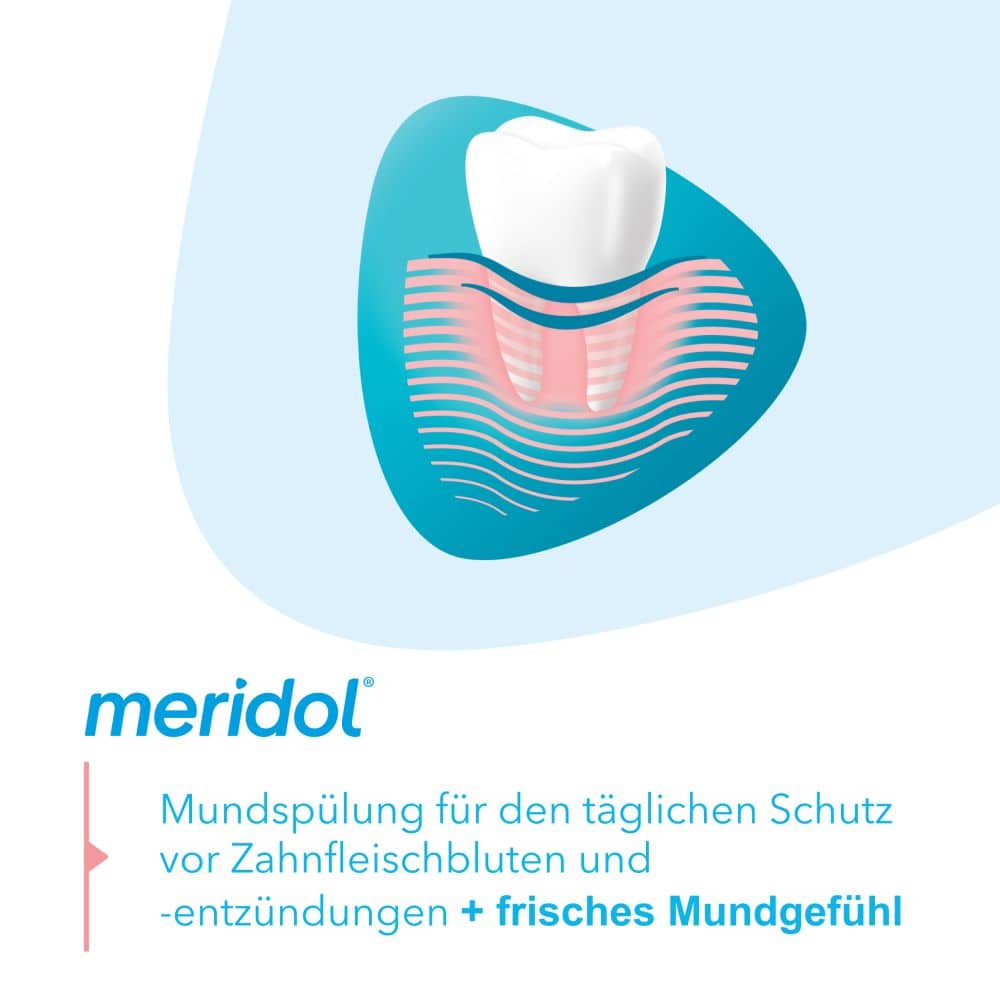 meridol ZAHNFLEISCHSCHUTZ 2X400 ml Spüllösung