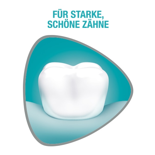 SENSODYNE ProSchmelz Multi-Action Zahnpasta 100 ml Zahnpasta