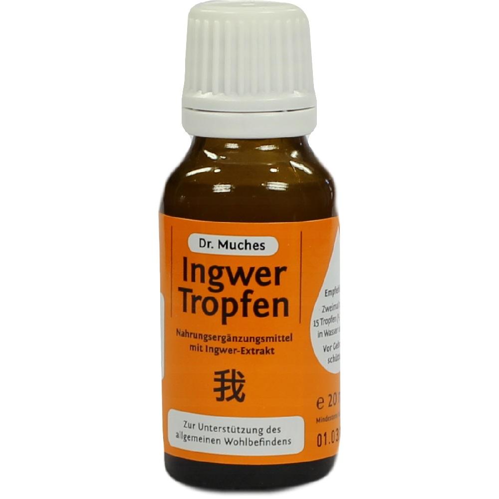 Dr. Muches Ingwer Tropfen 20 ml Tropfen