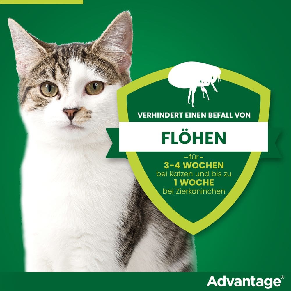 Advantage 40 mg für kleine Katzen und kleine Zierkaninchen 4X0.4 ml Lösung