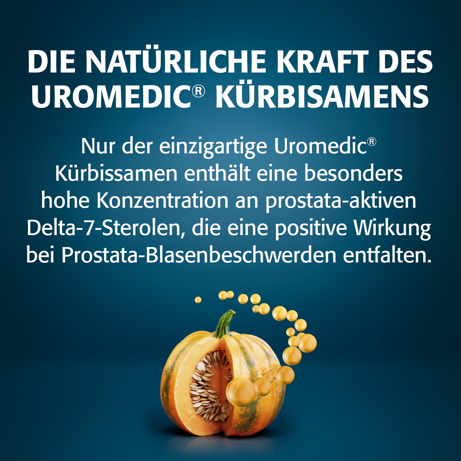 GRANU FINK Prosta forte 500mg 40 St Hartkapseln