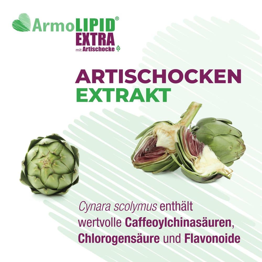 ArmoLIPID EXTRA mit Artischocke 60 St Tabletten