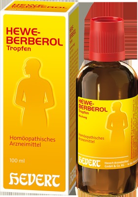 HEWEBERBEROL Tropfen 100 ml Tropfen